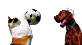 Oskar und Momo